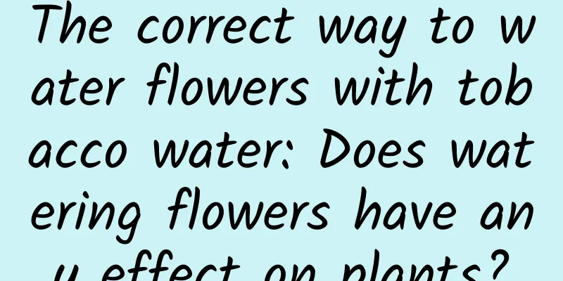 The correct way to water flowers with tobacco water: Does watering flowers have any effect on plants?