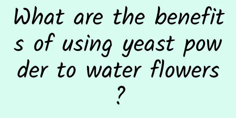 What are the benefits of using yeast powder to water flowers?