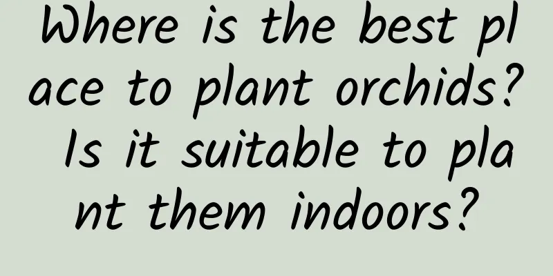 Where is the best place to plant orchids? Is it suitable to plant them indoors?
