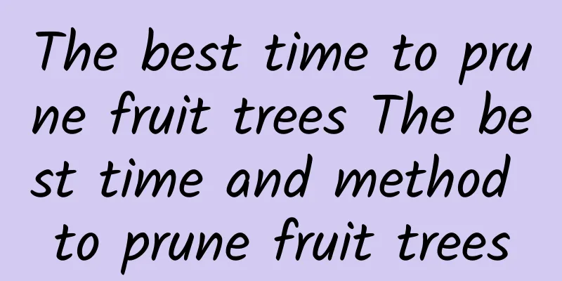 The best time to prune fruit trees The best time and method to prune fruit trees
