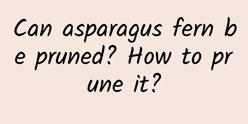 Can asparagus fern be pruned? How to prune it?