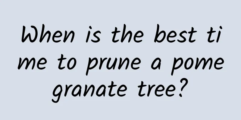 When is the best time to prune a pomegranate tree?
