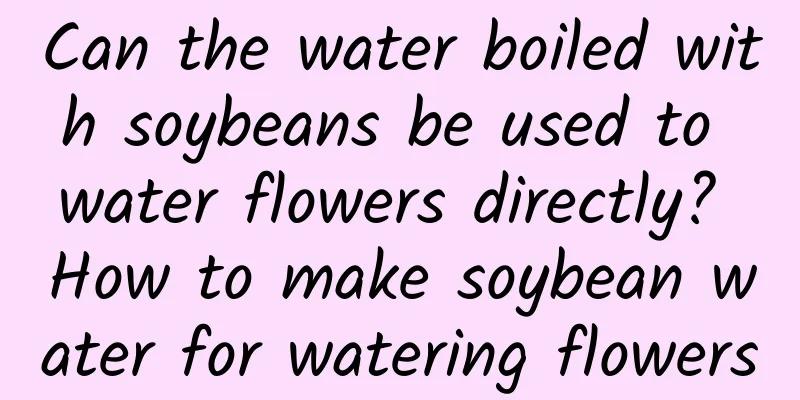 Can the water boiled with soybeans be used to water flowers directly? How to make soybean water for watering flowers