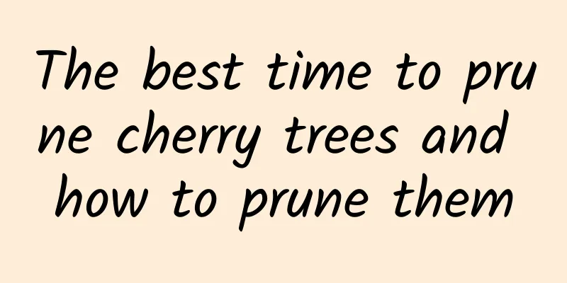 The best time to prune cherry trees and how to prune them