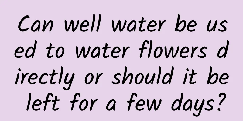 Can well water be used to water flowers directly or should it be left for a few days?