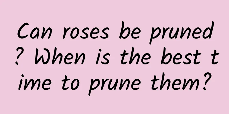 Can roses be pruned? When is the best time to prune them?