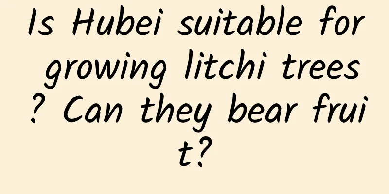 Is Hubei suitable for growing litchi trees? Can they bear fruit?