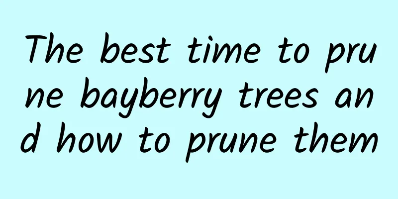 The best time to prune bayberry trees and how to prune them