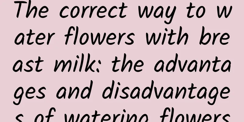The correct way to water flowers with breast milk: the advantages and disadvantages of watering flowers