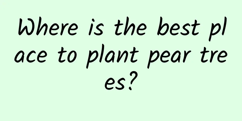 Where is the best place to plant pear trees?