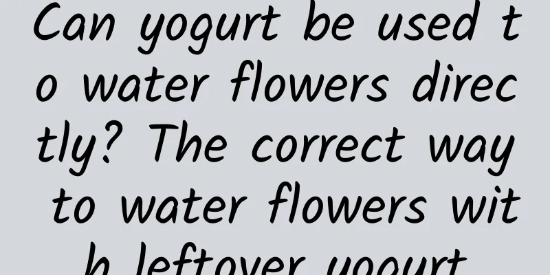 Can yogurt be used to water flowers directly? The correct way to water flowers with leftover yogurt