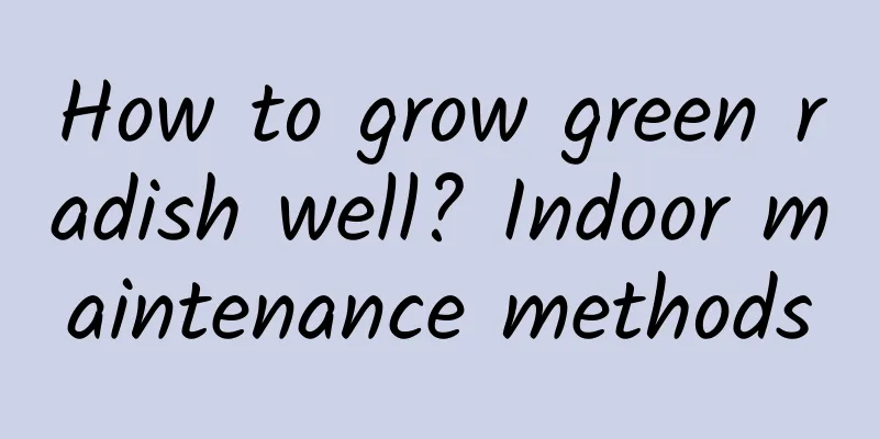 How to grow green radish well? Indoor maintenance methods