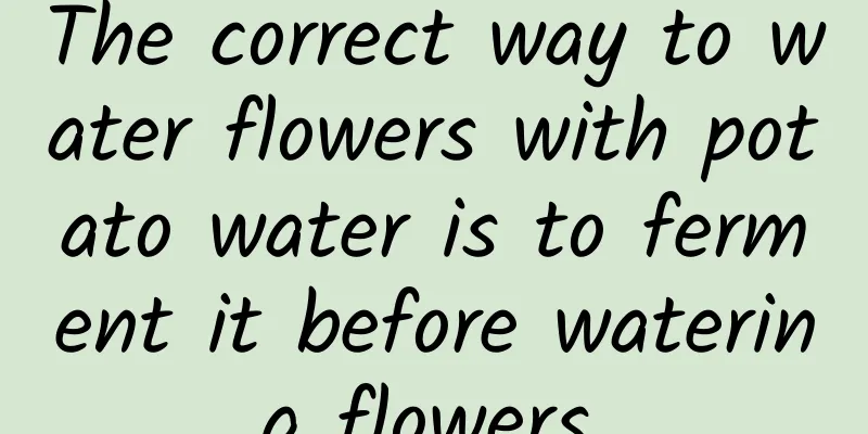 The correct way to water flowers with potato water is to ferment it before watering flowers.