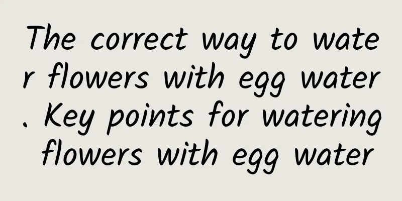 The correct way to water flowers with egg water. Key points for watering flowers with egg water