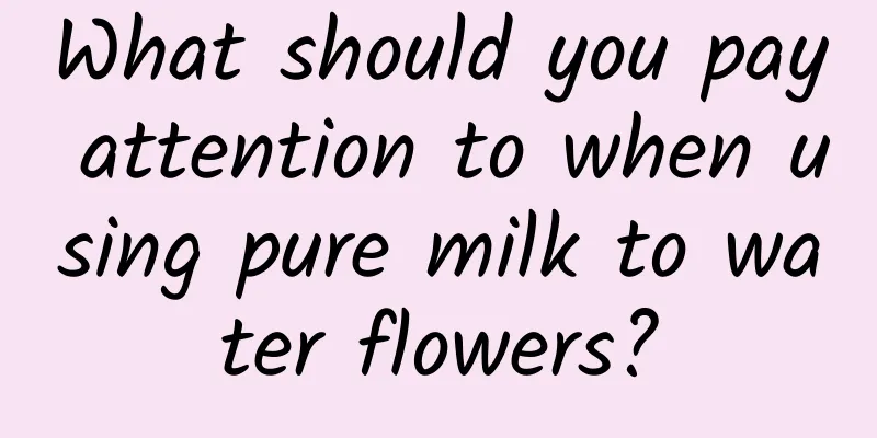 What should you pay attention to when using pure milk to water flowers?