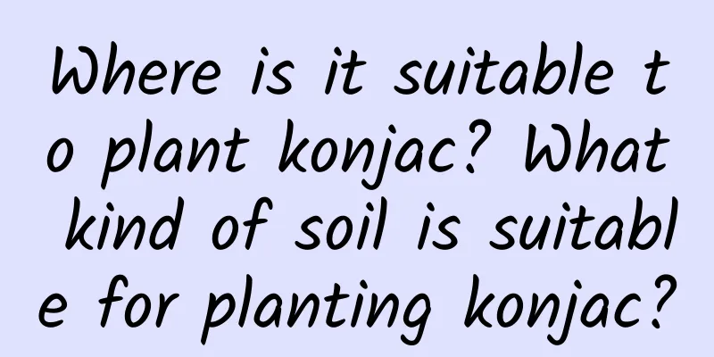 Where is it suitable to plant konjac? What kind of soil is suitable for planting konjac?