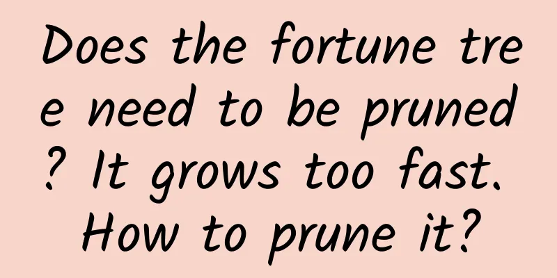 Does the fortune tree need to be pruned? It grows too fast. How to prune it?