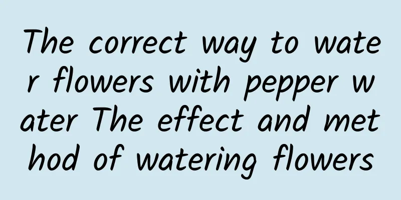 The correct way to water flowers with pepper water The effect and method of watering flowers