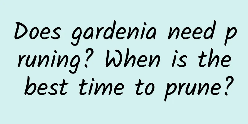Does gardenia need pruning? When is the best time to prune?