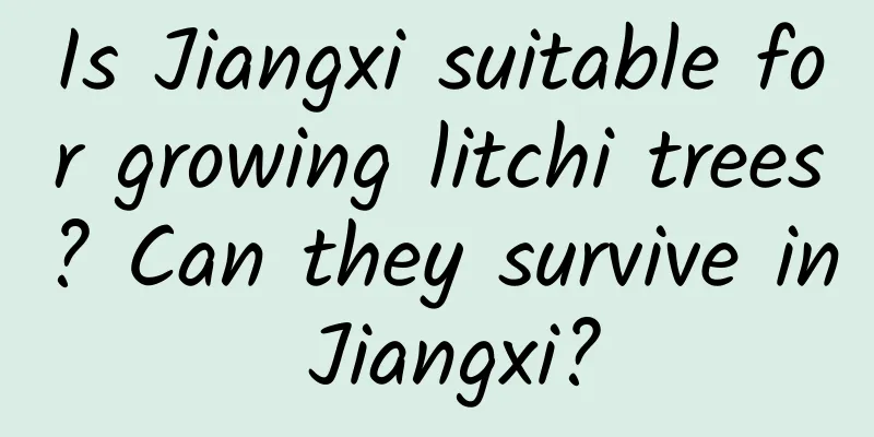 Is Jiangxi suitable for growing litchi trees? Can they survive in Jiangxi?