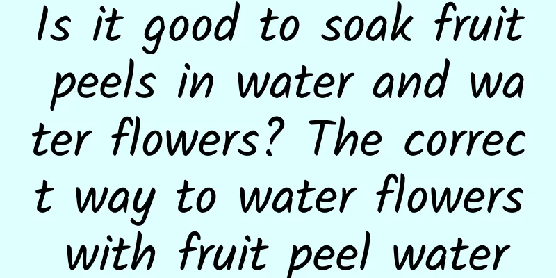 Is it good to soak fruit peels in water and water flowers? The correct way to water flowers with fruit peel water