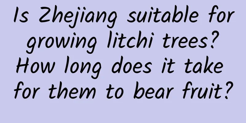 Is Zhejiang suitable for growing litchi trees? How long does it take for them to bear fruit?
