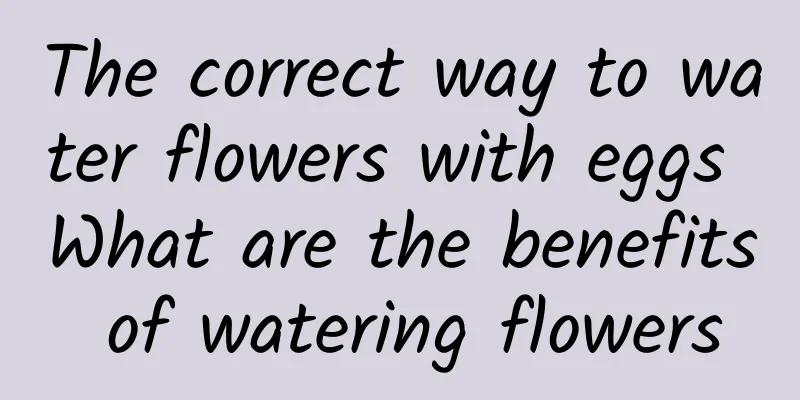 The correct way to water flowers with eggs What are the benefits of watering flowers