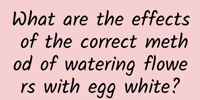 What are the effects of the correct method of watering flowers with egg white?