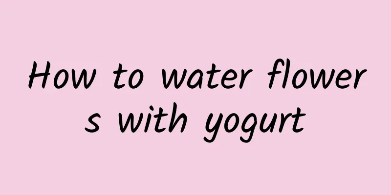 How to water flowers with yogurt