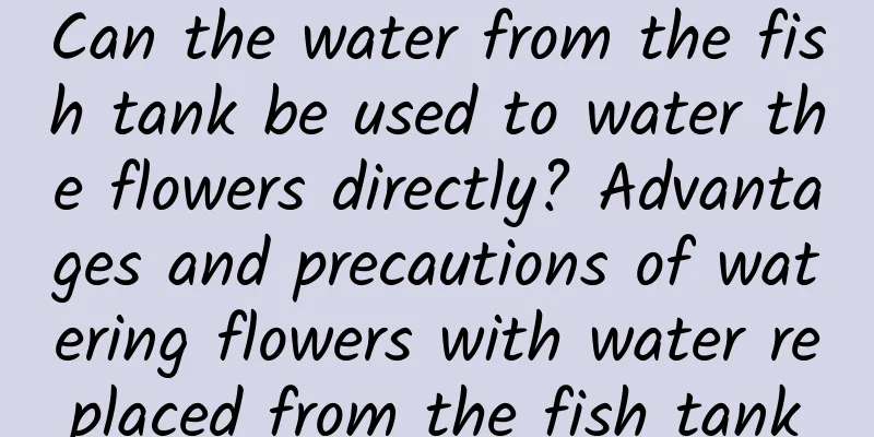 Can the water from the fish tank be used to water the flowers directly? Advantages and precautions of watering flowers with water replaced from the fish tank