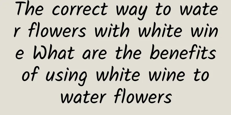 The correct way to water flowers with white wine What are the benefits of using white wine to water flowers