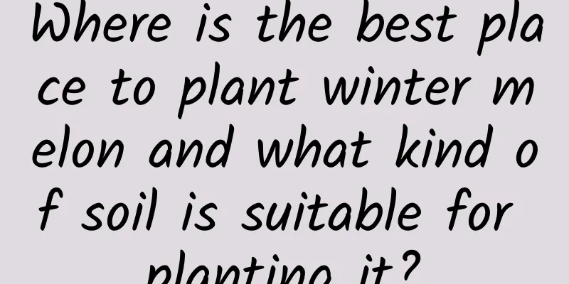 Where is the best place to plant winter melon and what kind of soil is suitable for planting it?
