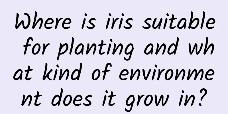Where is iris suitable for planting and what kind of environment does it grow in?