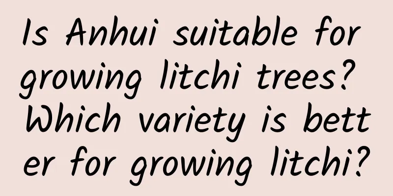 Is Anhui suitable for growing litchi trees? Which variety is better for growing litchi?