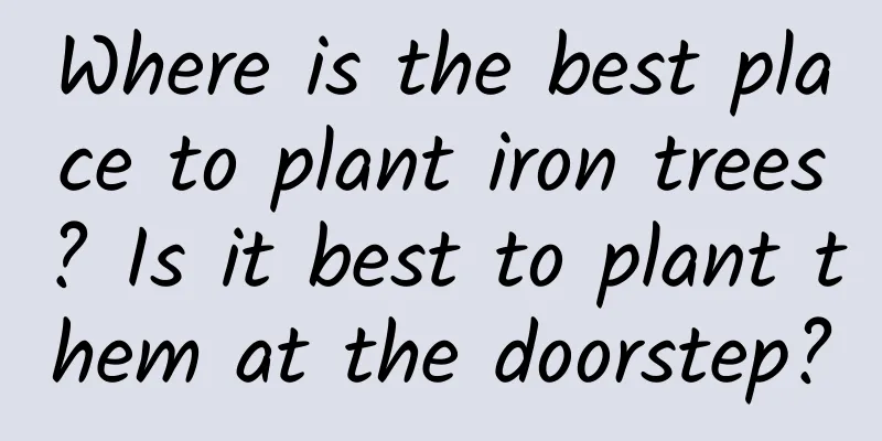 Where is the best place to plant iron trees? Is it best to plant them at the doorstep?