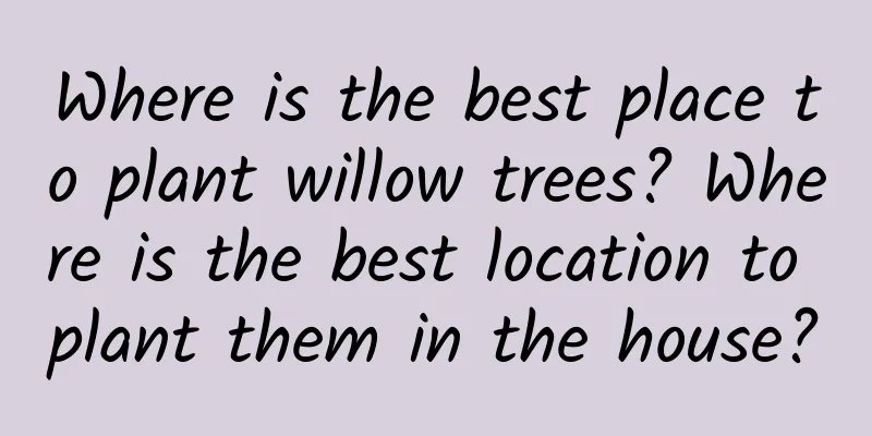 Where is the best place to plant willow trees? Where is the best location to plant them in the house?