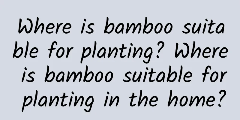 Where is bamboo suitable for planting? Where is bamboo suitable for planting in the home?