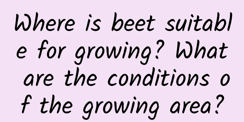 Where is beet suitable for growing? What are the conditions of the growing area?