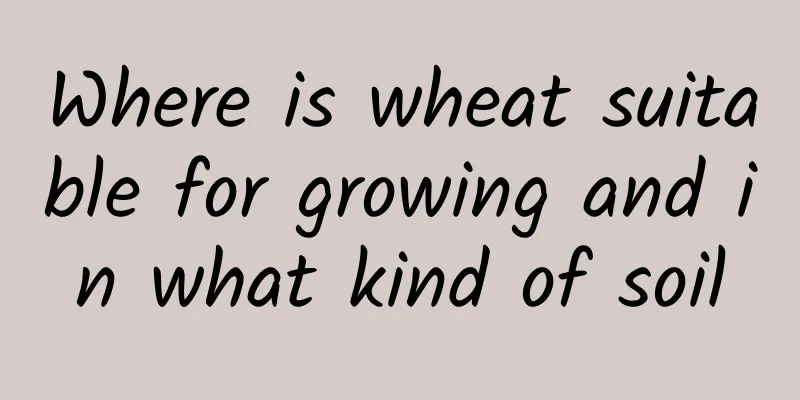 Where is wheat suitable for growing and in what kind of soil
