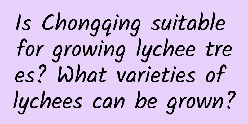 Is Chongqing suitable for growing lychee trees? What varieties of lychees can be grown?