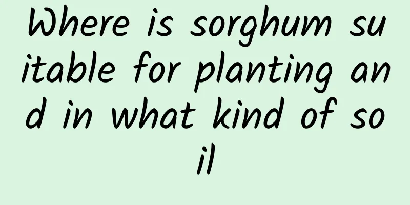 Where is sorghum suitable for planting and in what kind of soil