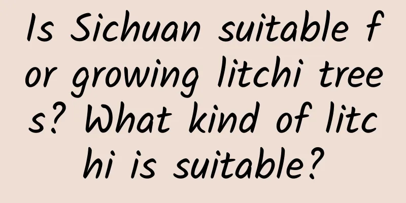 Is Sichuan suitable for growing litchi trees? What kind of litchi is suitable?