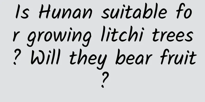 Is Hunan suitable for growing litchi trees? Will they bear fruit?