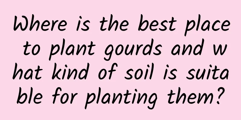 Where is the best place to plant gourds and what kind of soil is suitable for planting them?