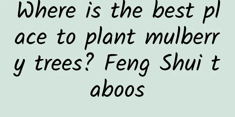 Where is the best place to plant mulberry trees? Feng Shui taboos