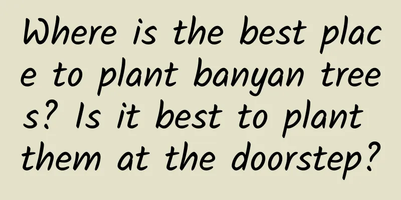 Where is the best place to plant banyan trees? Is it best to plant them at the doorstep?