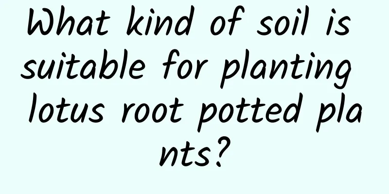What kind of soil is suitable for planting lotus root potted plants?