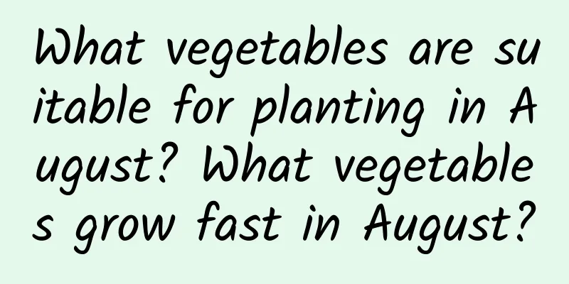 What vegetables are suitable for planting in August? What vegetables grow fast in August?