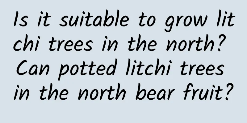 Is it suitable to grow litchi trees in the north? Can potted litchi trees in the north bear fruit?