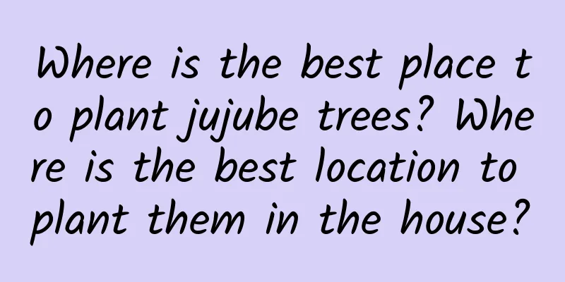 Where is the best place to plant jujube trees? Where is the best location to plant them in the house?